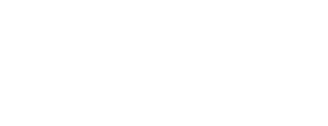 Danet Communications